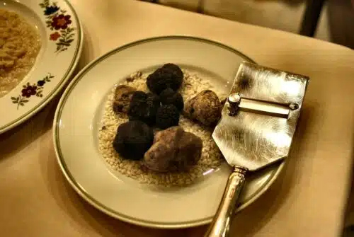 Où acheter de belles truffes noires fraîches ?
