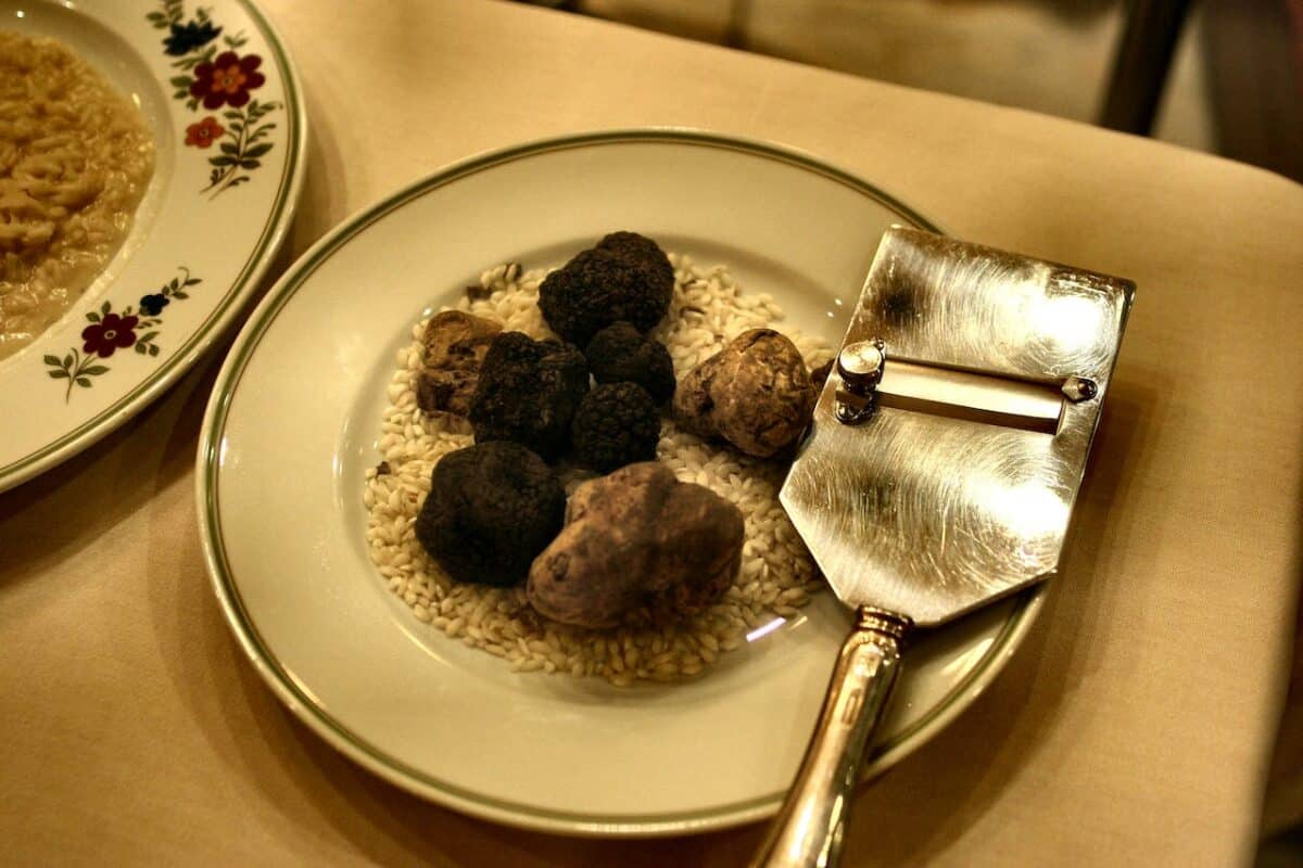 Où acheter de belles truffes noires fraîches ?