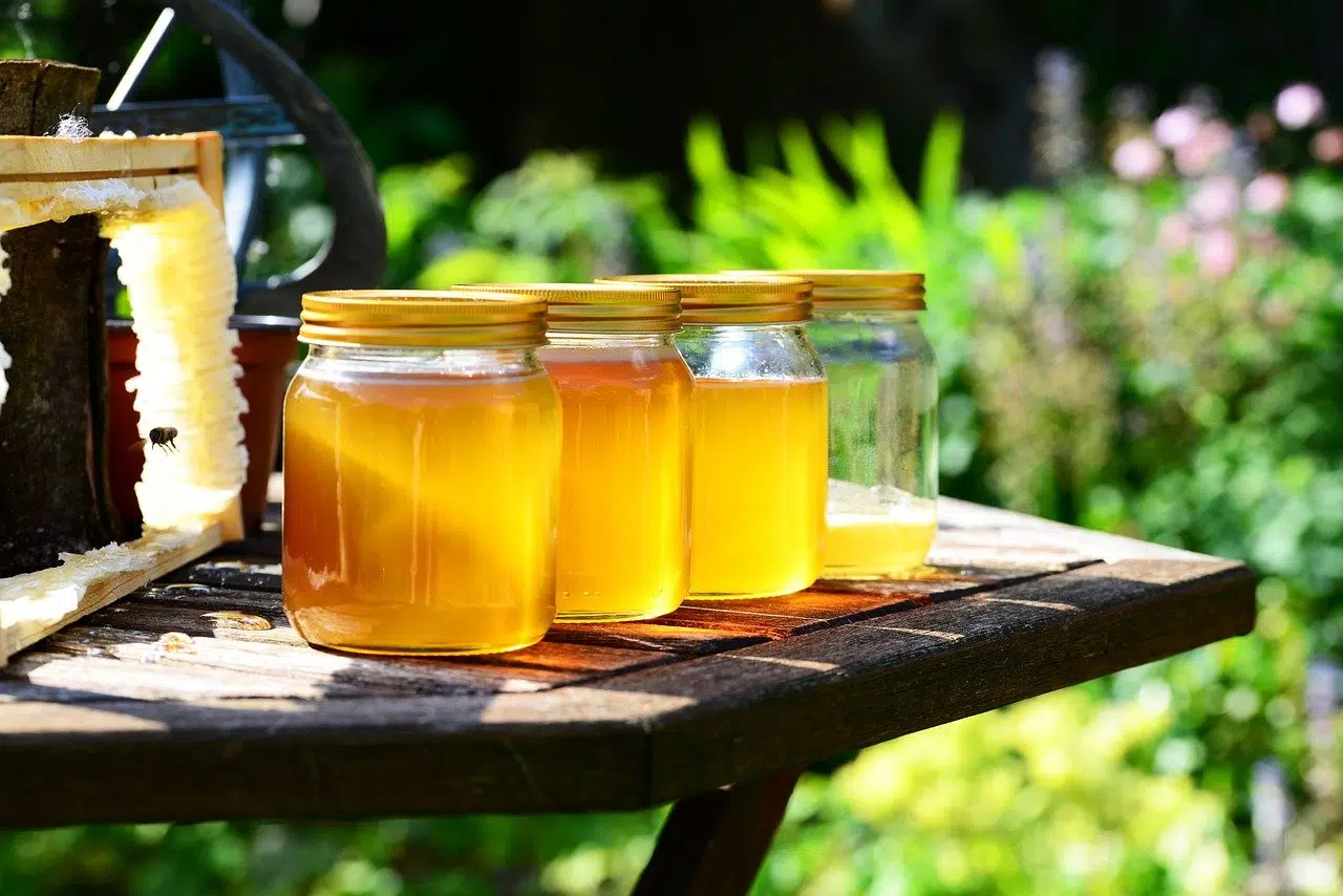 Qu’est ce qu’un miel bio, ses bienfaits et comment le choisir ?