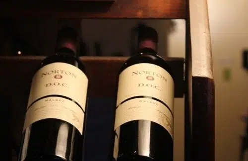 Quel vin choisir pour faire vieillir ?