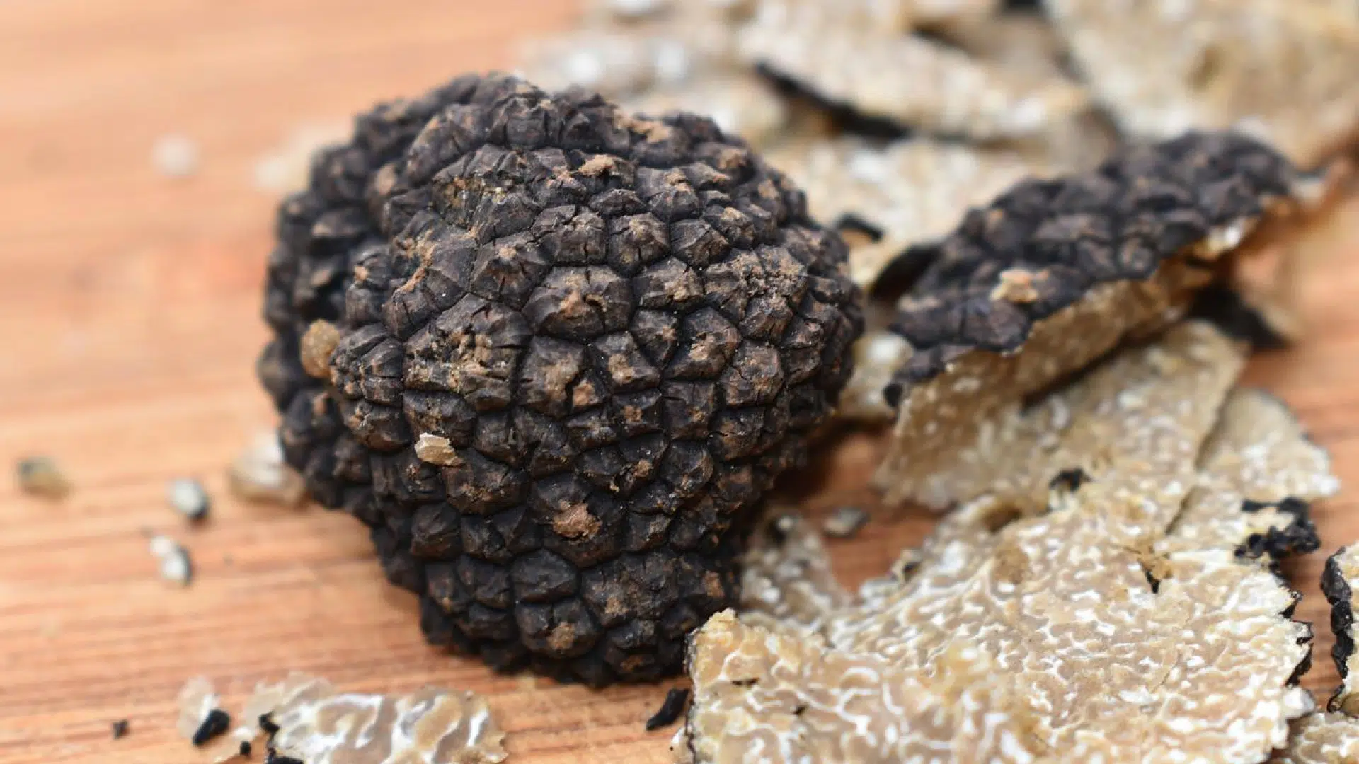 Comment ramasser des truffes ?