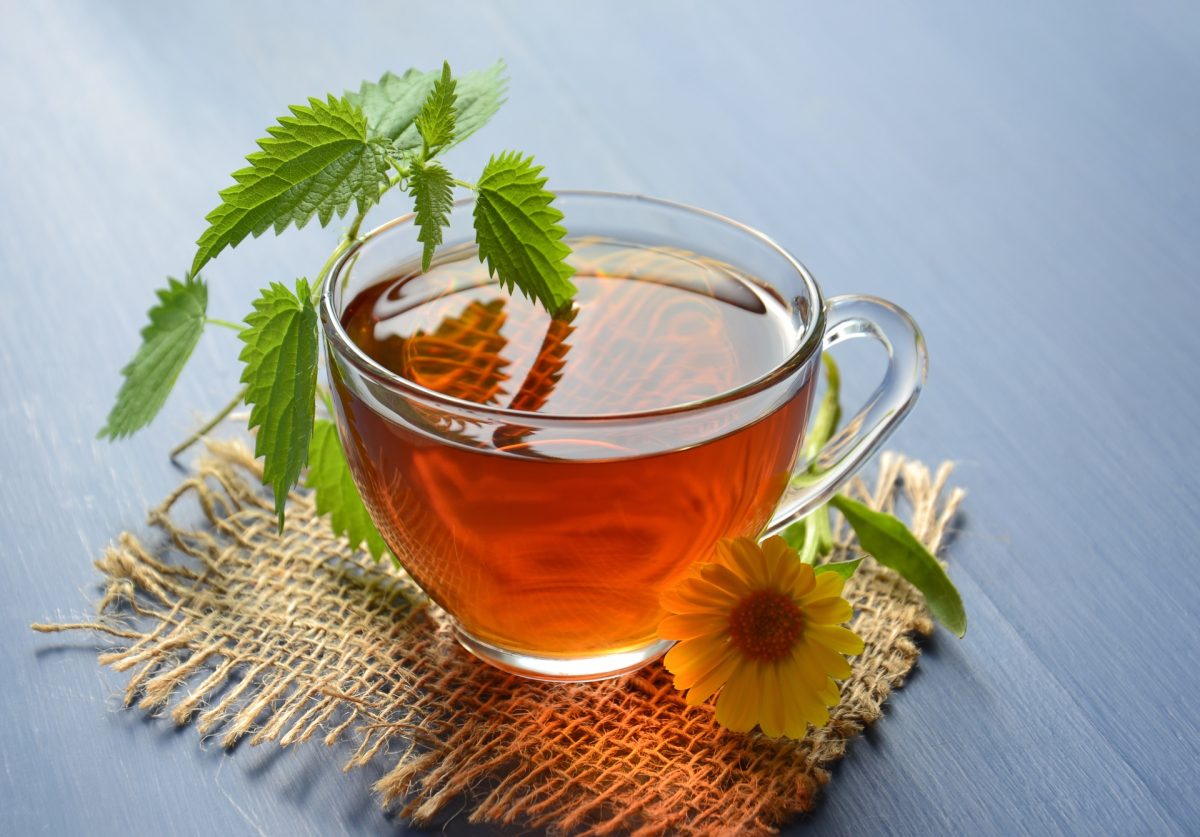 Le test du goût : y a-t-il vraiment une différence entre le Rooibos et le thé ordinaire ?